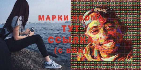 прущие крисы Вяземский