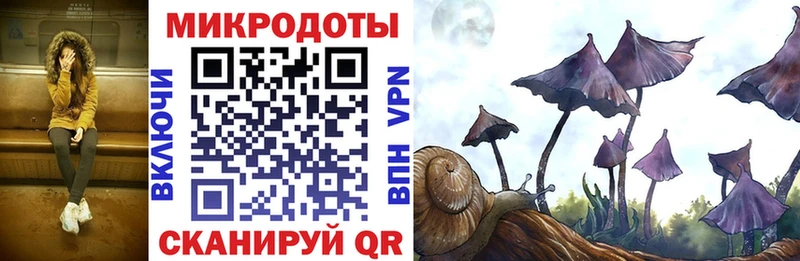 Купить где  Чадан  Псилоцибиновые грибы GOLDEN TEACHER 